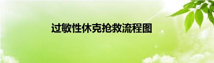 过敏性休克抢救流程图