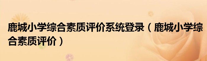 鹿城小学综合素质评价系统登录（鹿城小学综合素质评价）