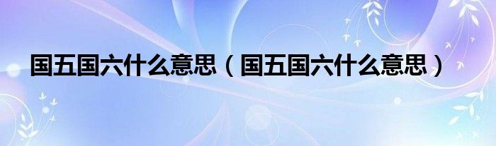 国五国六什么意思（国五国六什么意思）