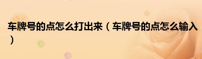 车牌号的点怎么打出来（车牌号的点怎么输入）