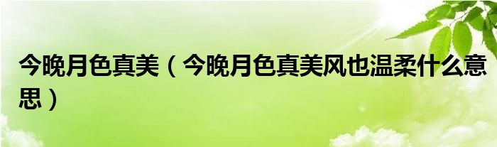 今晚月色真美（今晚月色真美风也温柔什么意思）