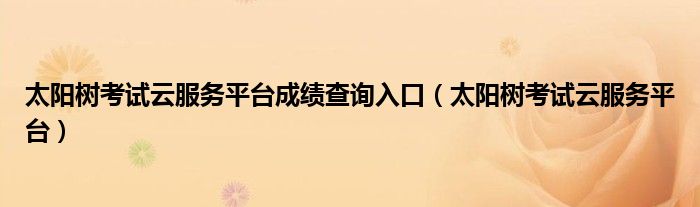 太阳树考试云服务平台成绩查询入口（太阳树考试云服务平台）
