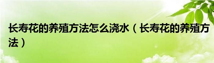 长寿花的养殖方法怎么浇水（长寿花的养殖方法）