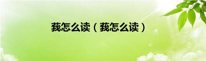 莪怎么读（莪怎么读）