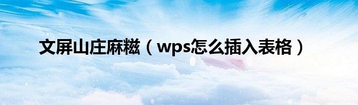 文屏山庄麻糍（wps怎么插入表格）