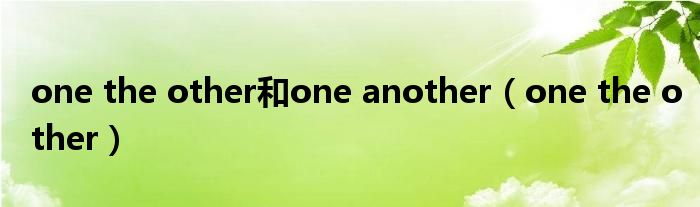 one the other和one another（one the other）