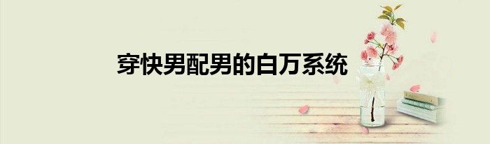 穿快男配男的白万系统