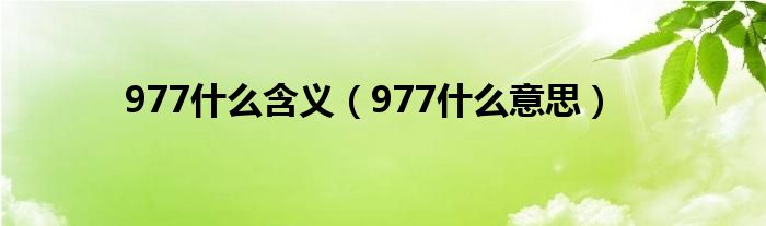 977什么含义（977什么意思）