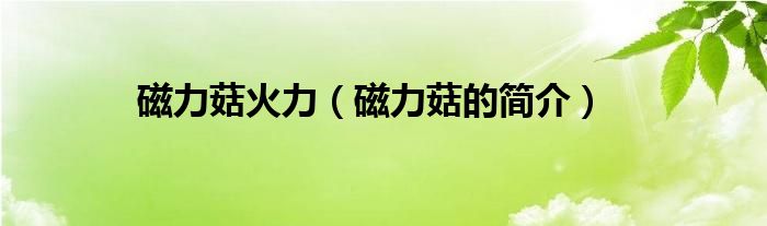 磁力菇火力（磁力菇的简介）