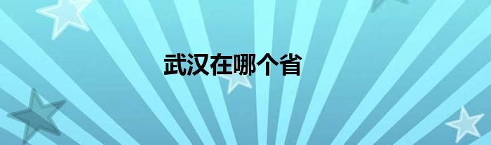武汉在哪个省