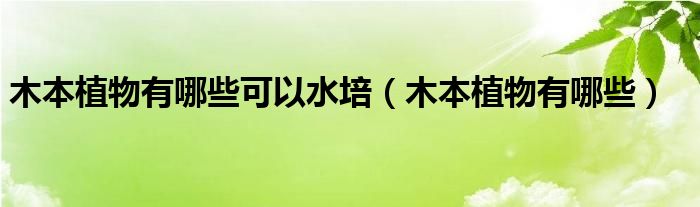 木本植物有哪些可以水培（木本植物有哪些）
