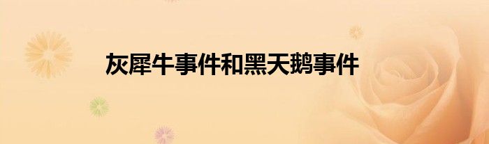 灰犀牛事件和黑天鹅事件