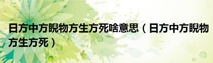 日方中方睨物方生方死啥意思（日方中方睨物方生方死）