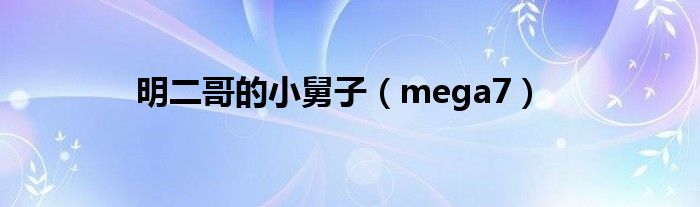 明二哥的小舅子（mega7）