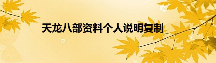 天龙八部资料个人说明复制
