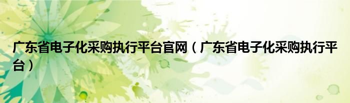 广东省电子化采购执行平台官网（广东省电子化采购执行平台）