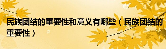 民族团结的重要性和意义有哪些（民族团结的重要性）