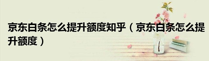 京东白条怎么提升额度知乎（京东白条怎么提升额度）