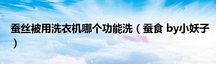 蚕丝被用洗衣机哪个功能洗（蚕食 by小妖子）