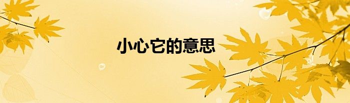 小心它的意思
