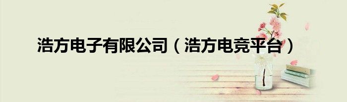 浩方电子有限公司（浩方电竞平台）