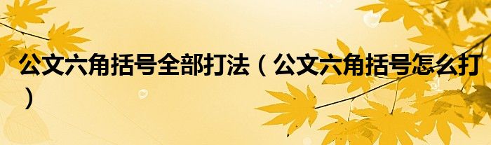 公文六角括号全部打法（公文六角括号怎么打）