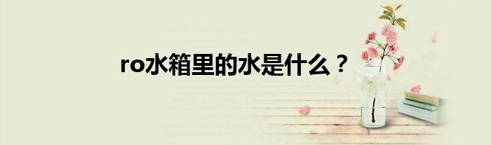 ro水箱里的水是什么？