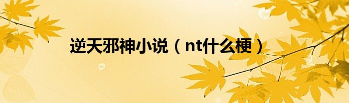 逆天邪神小说（nt什么梗）
