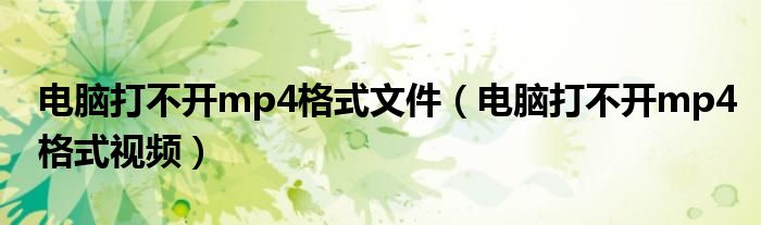 电脑打不开mp4格式文件（电脑打不开mp4格式视频）