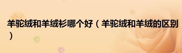 羊驼绒和羊绒衫哪个好（羊驼绒和羊绒的区别）