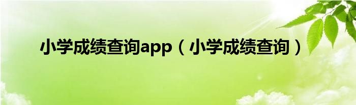 小学成绩查询app（小学成绩查询）