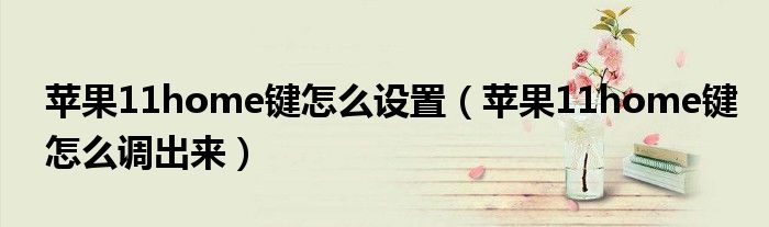 苹果11home键怎么设置（苹果11home键怎么调出来）