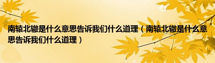 南辕北辙是什么意思告诉我们什么道理（南辕北辙是什么意思告诉我们什么道理）