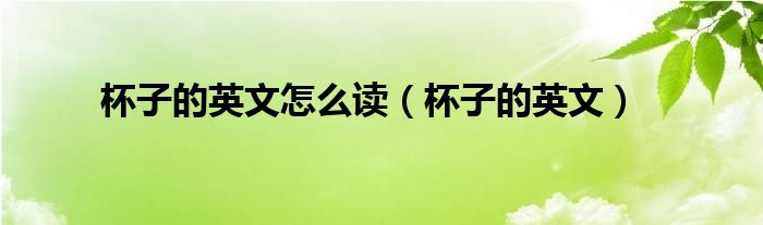 杯子的英文怎么读（杯子的英文）