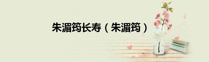 朱湄筠长寿（朱湄筠）