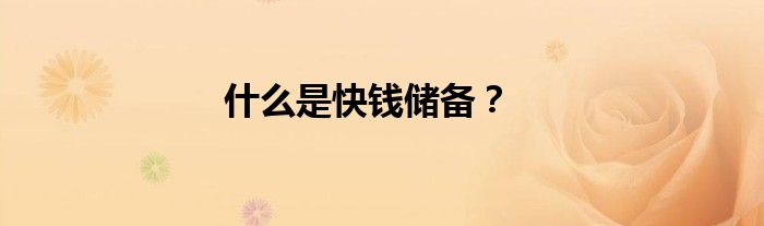 什么是快钱储备？