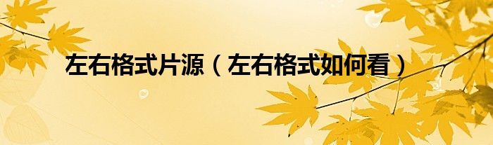 左右格式片源（左右格式如何看）