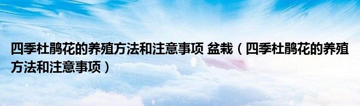 四季杜鹃花的养殖方法和注意事项 盆栽（四季杜鹃花的养殖方法和注意事项）