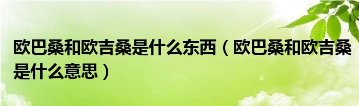 欧巴桑和欧吉桑是什么东西（欧巴桑和欧吉桑是什么意思）