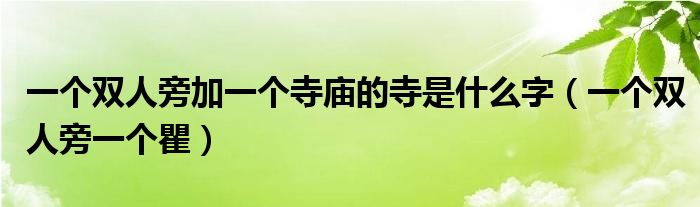 一个双人旁加一个寺庙的寺是什么字（一个双人旁一个瞿）