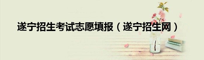 遂宁招生考试志愿填报（遂宁招生网）