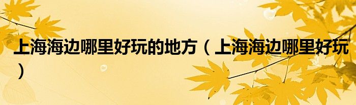 上海海边哪里好玩的地方（上海海边哪里好玩）