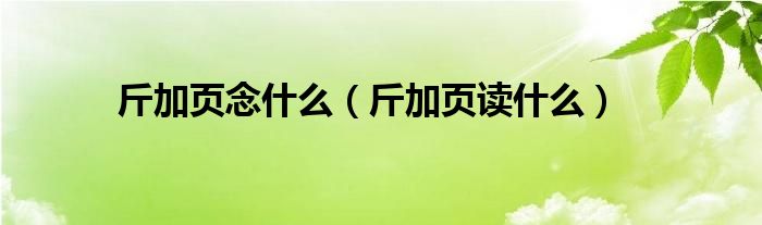 斤加页念什么（斤加页读什么）
