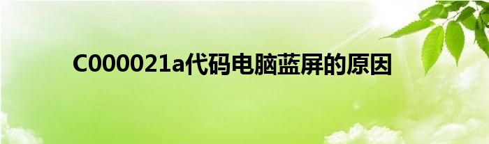 C000021a代码电脑蓝屏的原因