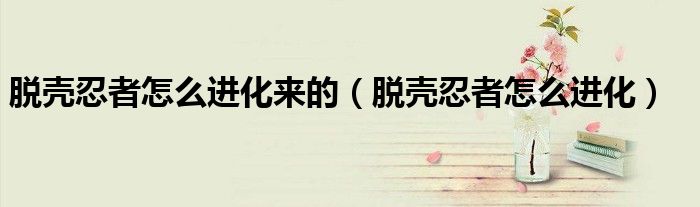 脱壳忍者怎么进化来的（脱壳忍者怎么进化）