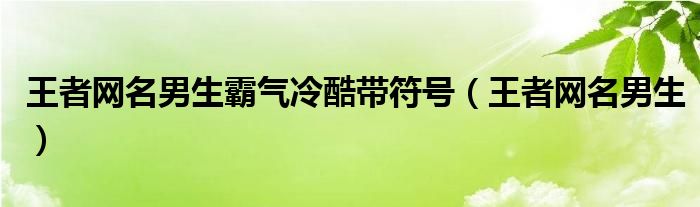 王者网名男生霸气冷酷带符号（王者网名男生）