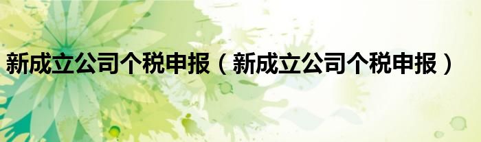 新成立公司个税申报（新成立公司个税申报）