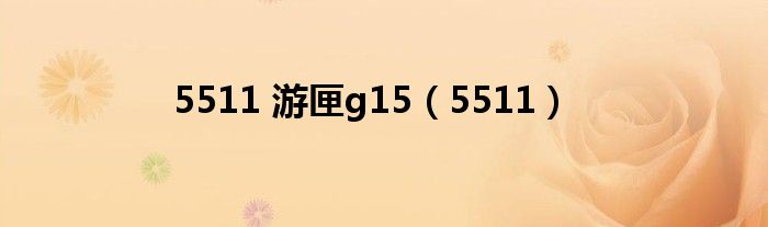 5511 游匣g15（5511）