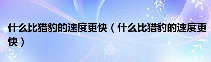 什么比猎豹的速度更快（什么比猎豹的速度更快）