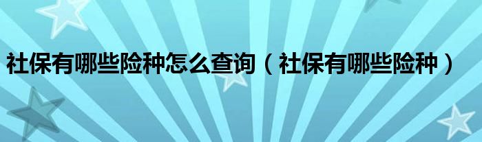 社保有哪些险种怎么查询（社保有哪些险种）